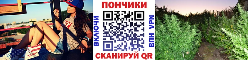 Бошки Шишки конопля  купить закладку  Михайлов 